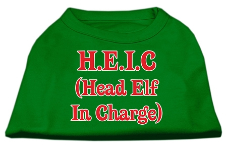 Head Elf in Charge Screen Print Shirt Emerald Green Lg